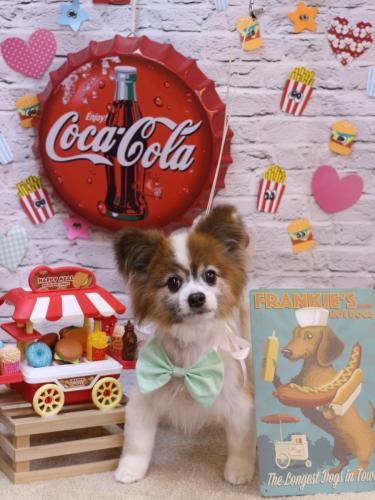 20230908ライムくん